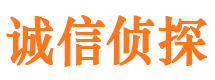 南宫外遇调查取证